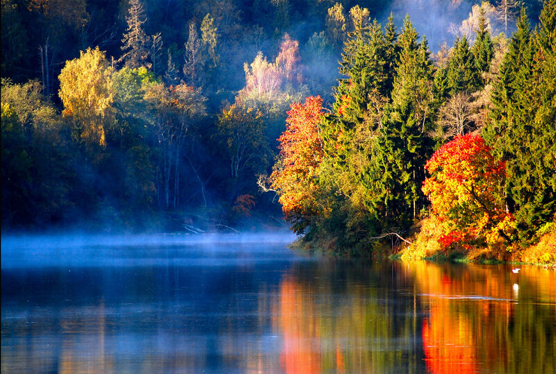 Autumn Trees by Lake — Blue, Serene, Morning
