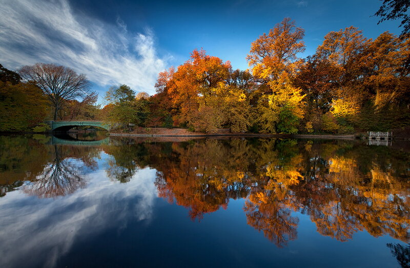 Autumn Trees by Lake — Blue, Serene, Photograph, Bridge, Reflection
