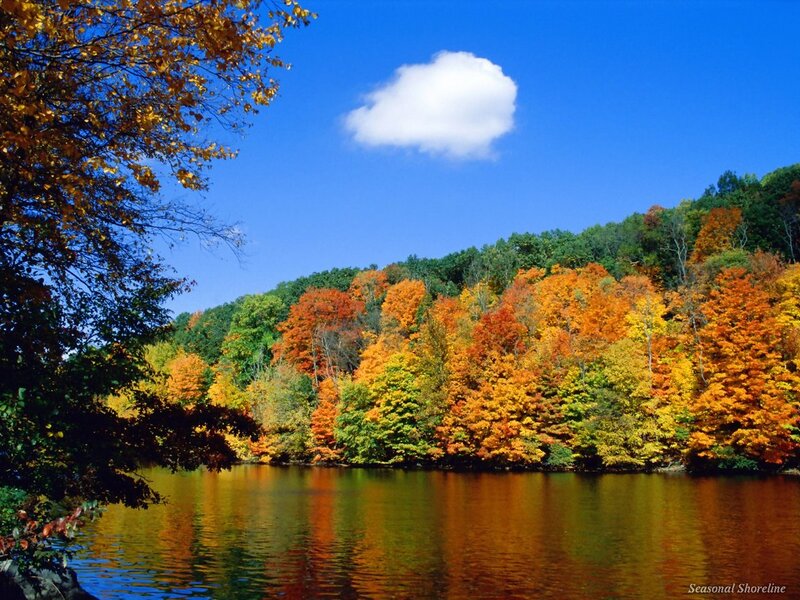 Autumn Trees by Lake — Blue, Serene, Photograph, Cloud