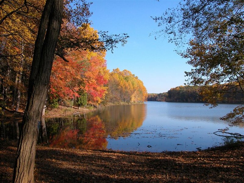 Autumn Trees by Lake — Blue, Serene, Photograph, Fallen Leaves, Sky