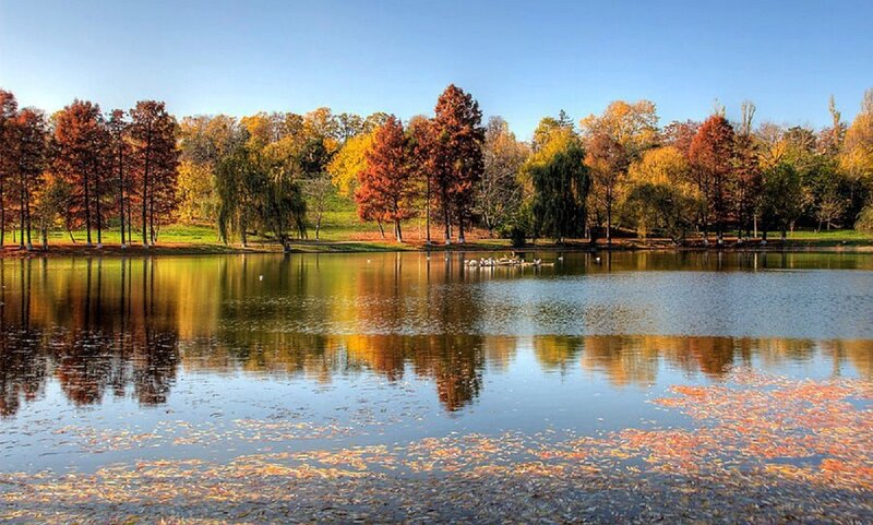 Autumn Trees by Lake — Blue, Serene, Photograph, Leaves