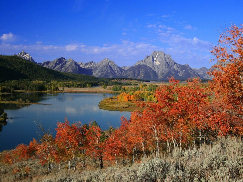 Autumn Trees by Lake — Blue, Serene, Photograph, Mountains, Forest, Sky
