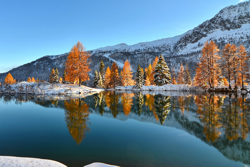Autumn Trees by Lake — Blue, Serene, Photograph, Mountains, Snow