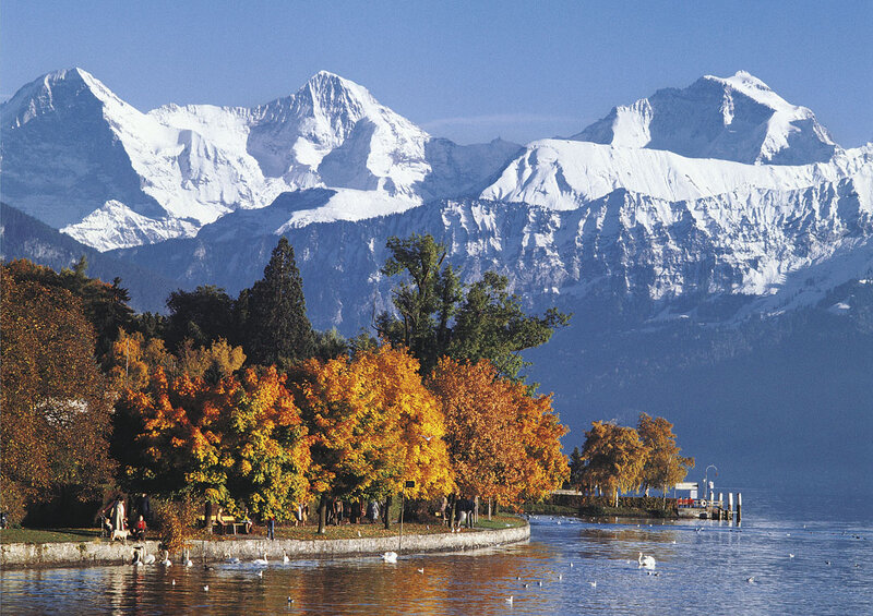 Autumn Trees by Lake — Blue, Serene, Photograph, Mountains, Swans