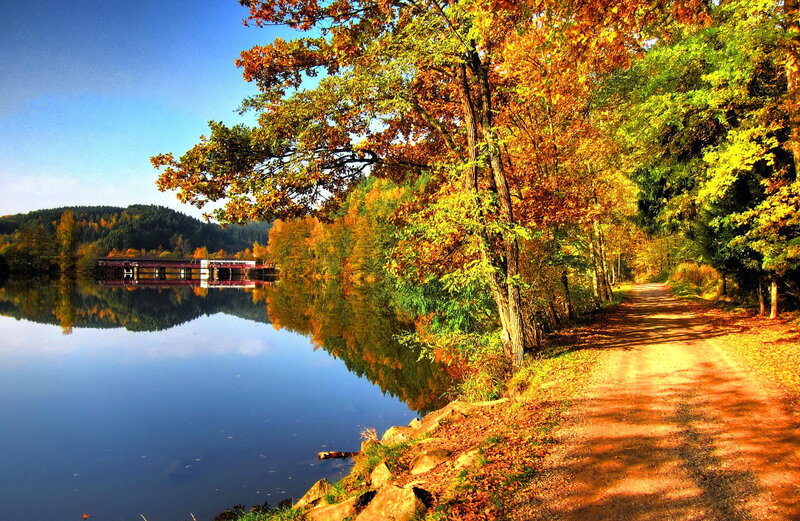 Autumn Trees by Lake — Blue, Serene, Photograph, Path