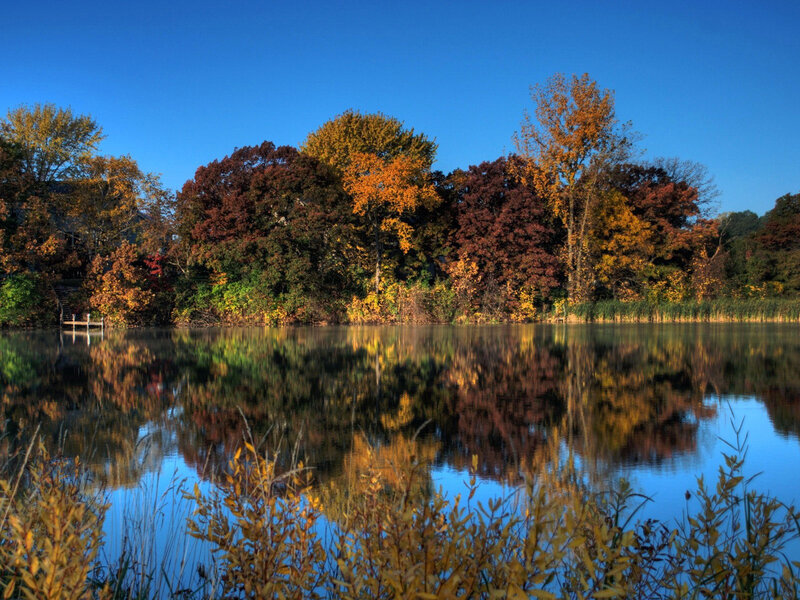 Autumn Trees by Lake — Blue, Serene, Photograph, Reflection, Sky