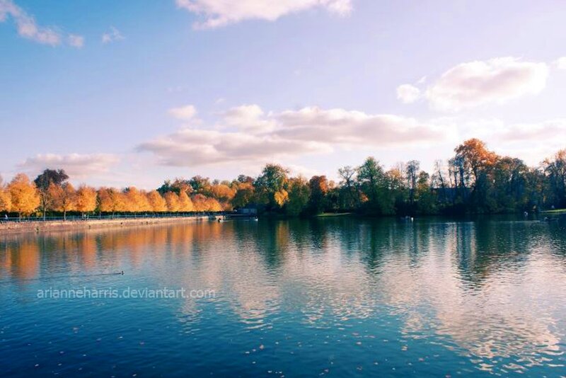 Autumn Trees by Lake — Blue, Serene, Photograph, Sky, Clouds