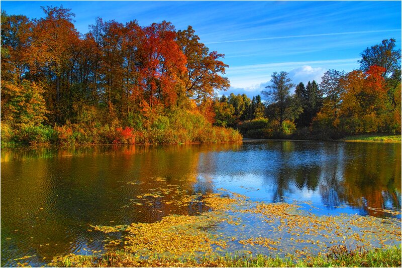 Autumn Trees by Lake — Blue, Serene, Photograph, Sky, Leaves