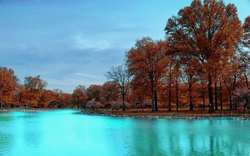 Autumn Trees by Lake — Blue, Serene, Photograph, Sky, Path