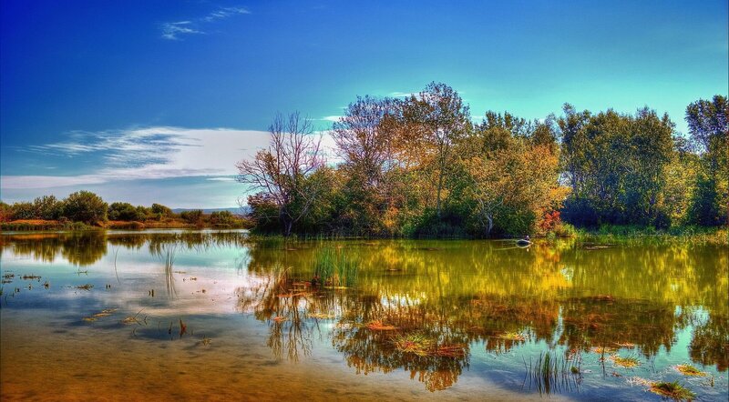 Autumn Trees by Lake — Blue, Serene, Photograph, Sky, Reflection, Green, Yellow