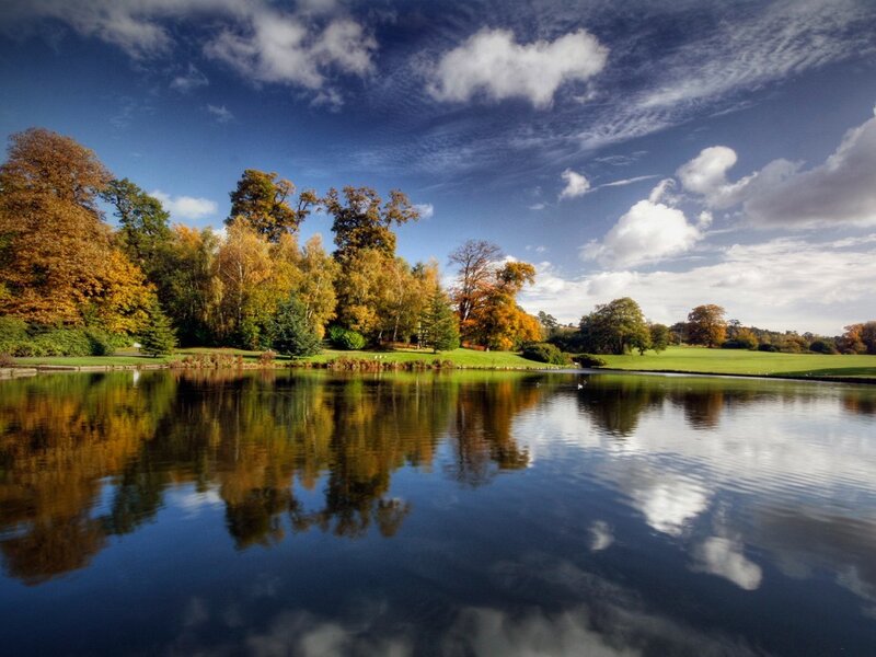 Autumn Trees by Lake — Blue, Serene, Photograph