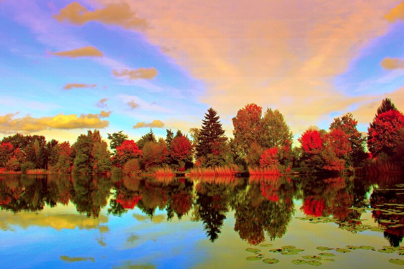 Autumn Trees by Lake — Blue, Serene, Sunset, Photograph, Clouds