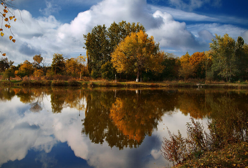 Autumn Trees by Lake — Blue