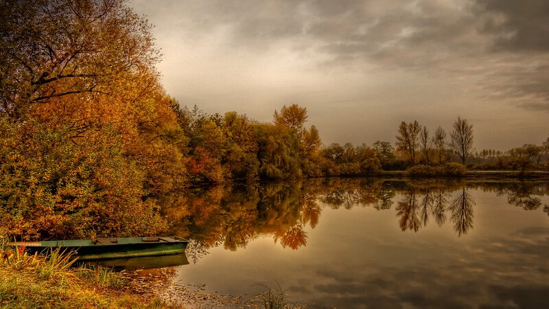 Autumn Trees by Lake — Brown, Serene