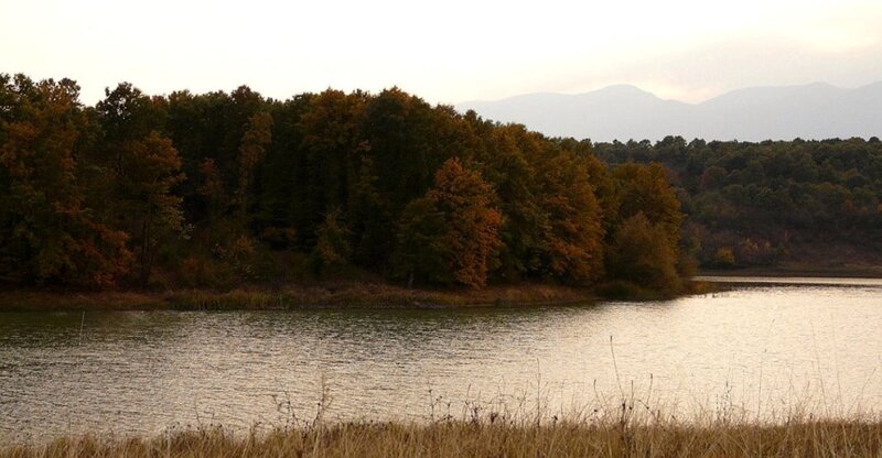 Autumn Trees by Lake — Brown