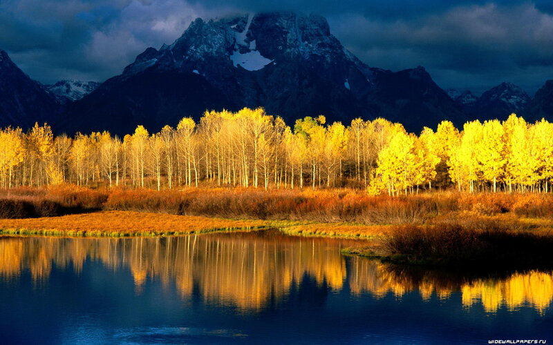 Autumn Trees by Lake — Dramatic