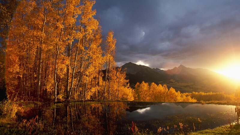 Autumn Trees by Lake — Gold, Dramatic, Sunset