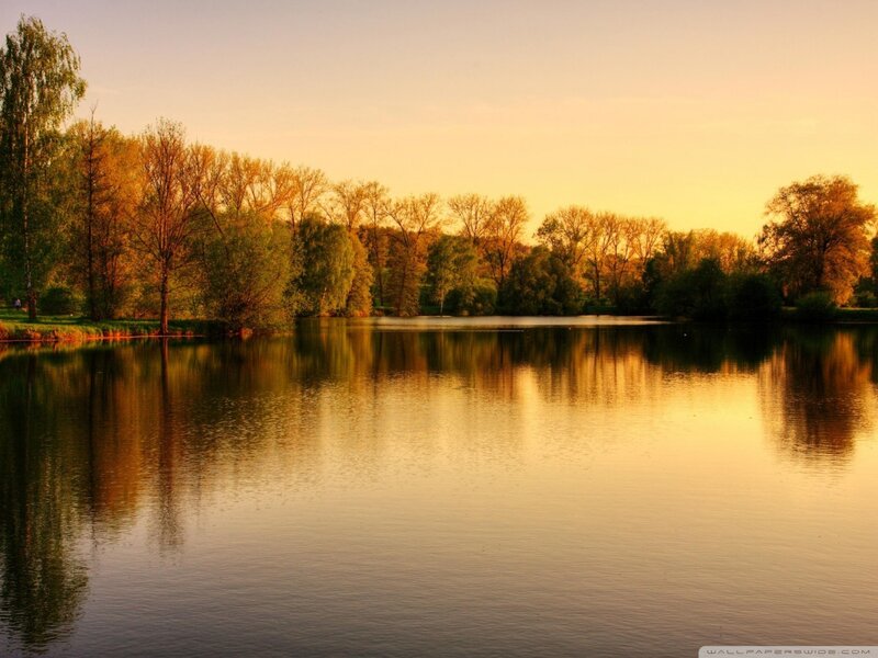 Autumn Trees by Lake — Gold, Serene, Sunset
