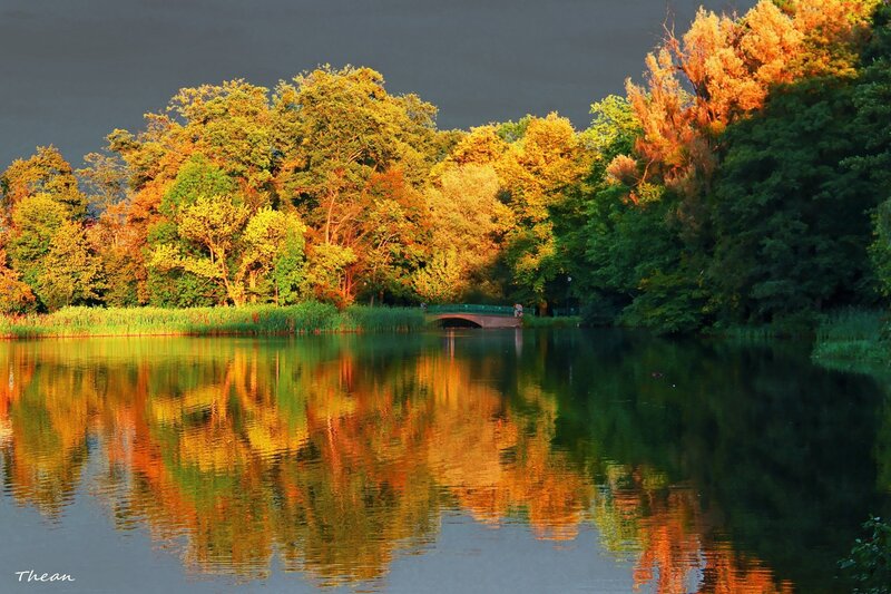 Autumn Trees by Lake — Green, Dramatic, Sunset