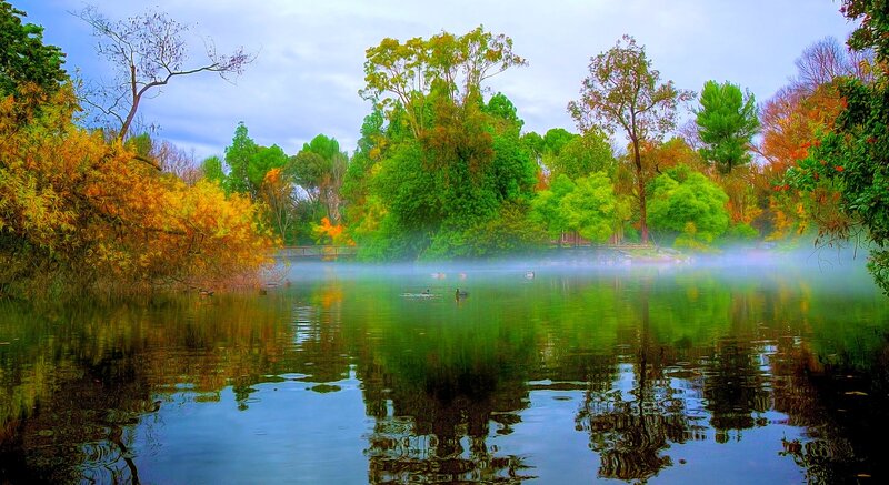 Autumn Trees by Lake — Green, Serene, Morning, Photograph