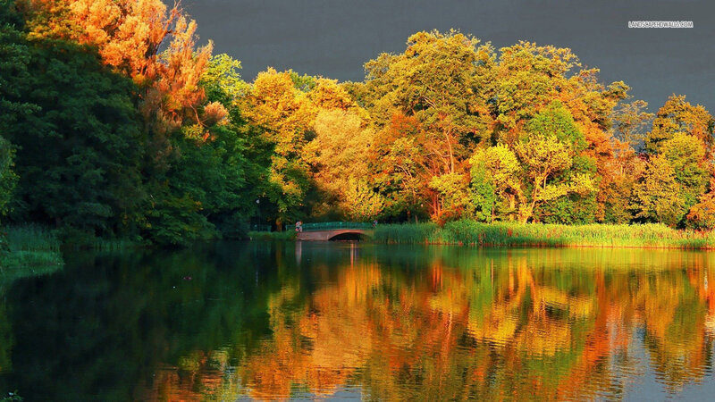 Autumn Trees by Lake — Green, Serene, Photograph, Bridge, Reflection