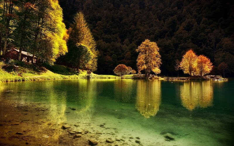 Autumn Trees by Lake — Green, Serene, Photograph, Cabin