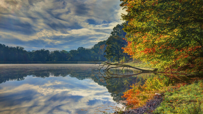 Autumn Trees by Lake — Green, Serene, Photograph, Clouds