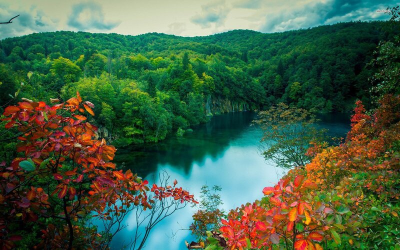Autumn Trees by Lake — Green, Serene, Photograph, Forest, Sky