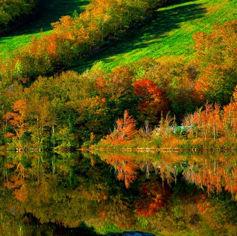 Autumn Trees by Lake — Green, Serene, Photograph, Hill