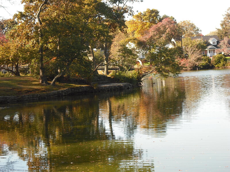 Autumn Trees by Lake — Green, Serene, Photograph, Houses, Path