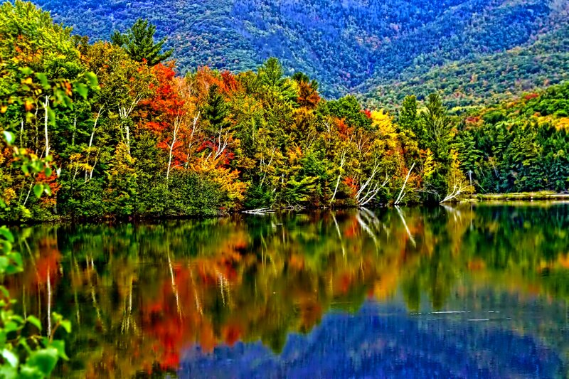 Autumn Trees by Lake — Green, Serene, Photograph, Mountains