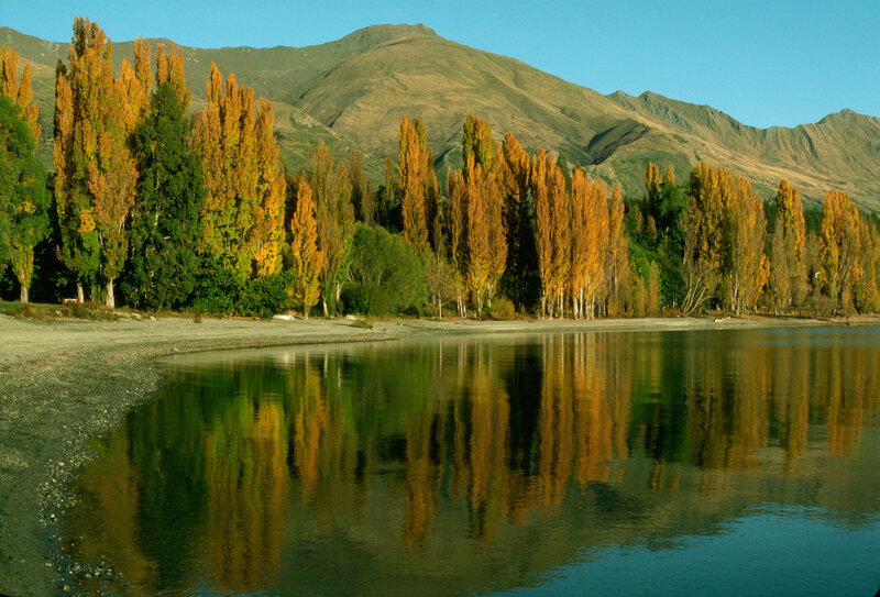 Autumn Trees by Lake — Green, Serene, Photograph, Mountains, Yellow