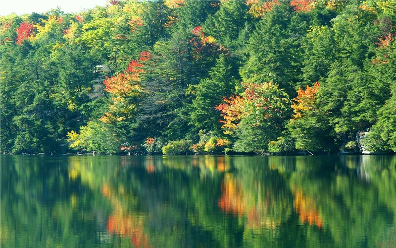 Autumn Trees by Lake — Green, Serene, Photograph, Reflection, Red, Yellow