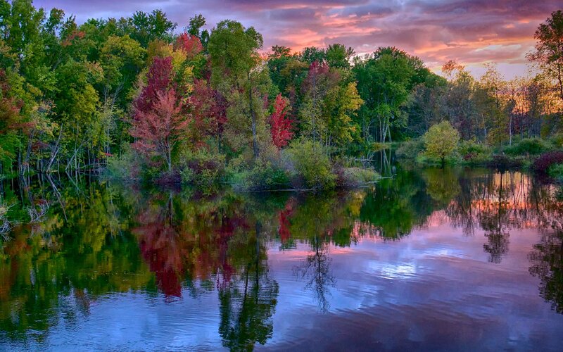 Autumn Trees by Lake — Green, Serene, Sunset