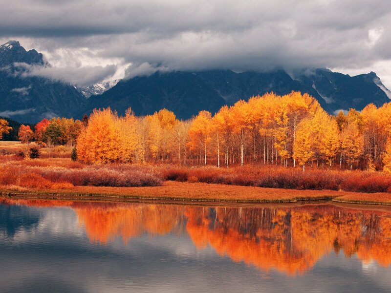 Autumn Trees by Lake — Orange, Dramatic, Photograph, Mountains, Clouds