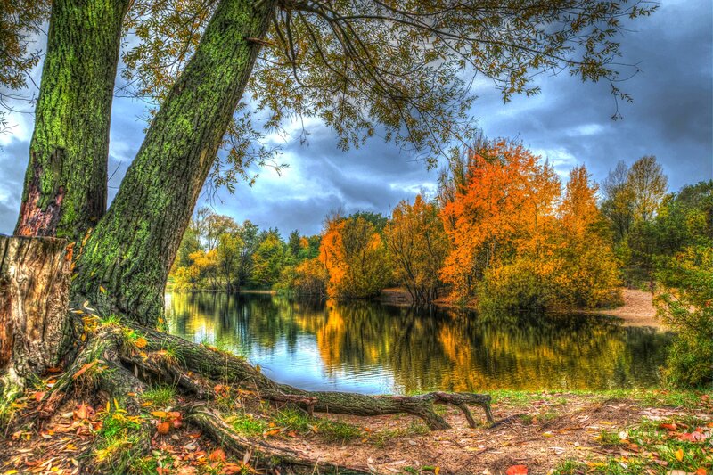 Autumn Trees by Lake — Orange, Dramatic, Photograph, Sky, Leaves