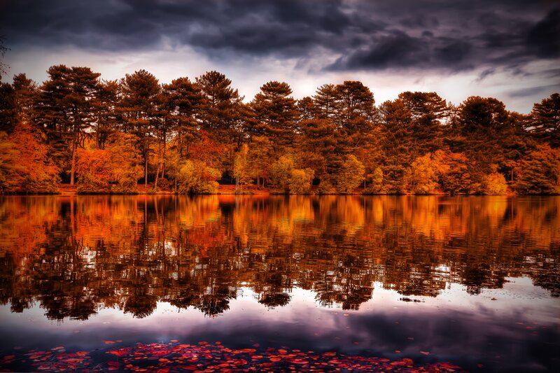 Autumn Trees by Lake — Orange, Dramatic, Photograph, Sky