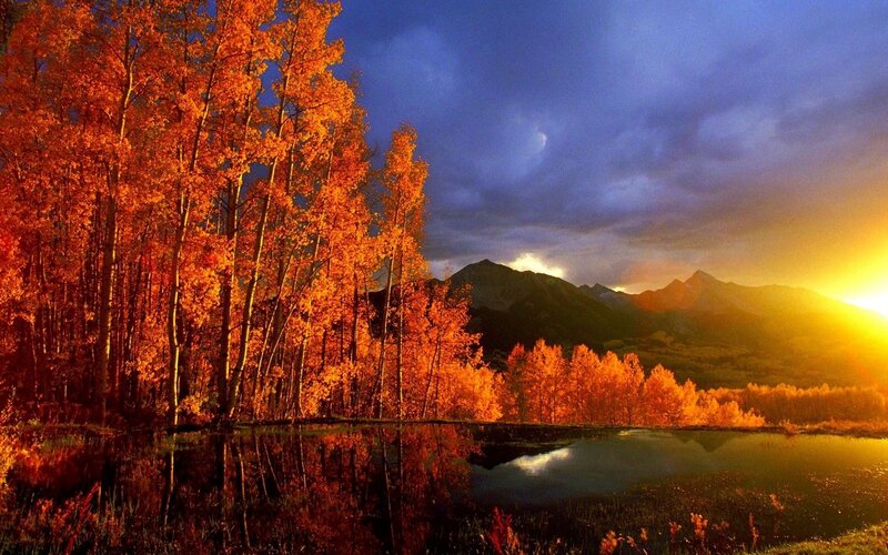 Autumn Trees by Lake — Orange, Dramatic, Sunset, Photograph, Mountains