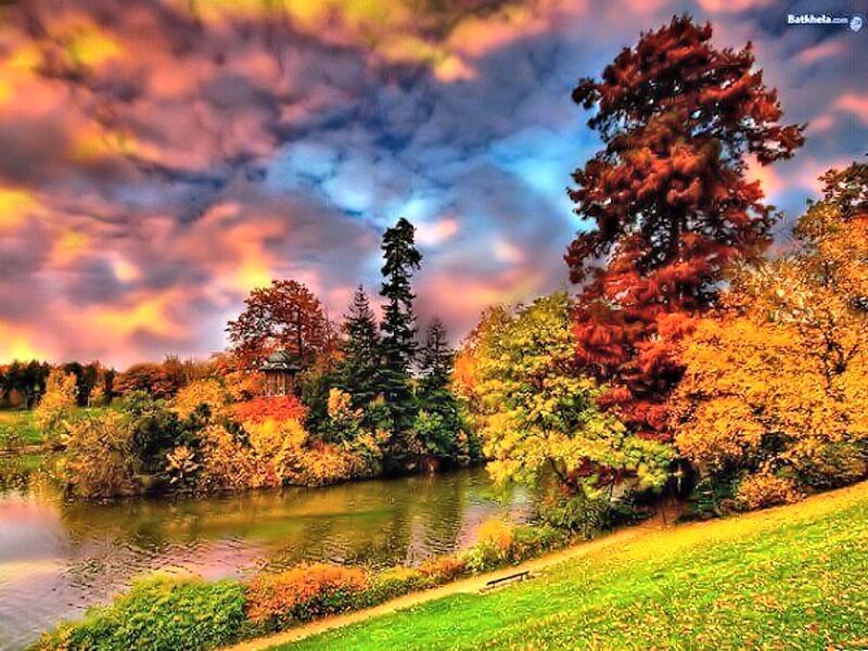 Autumn Trees by Lake — Orange, Dramatic, Sunset, Photograph, Sky, Path