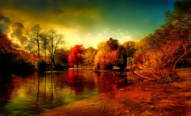 Autumn Trees by Lake — Orange, Dramatic, Sunset, Photograph, Sky