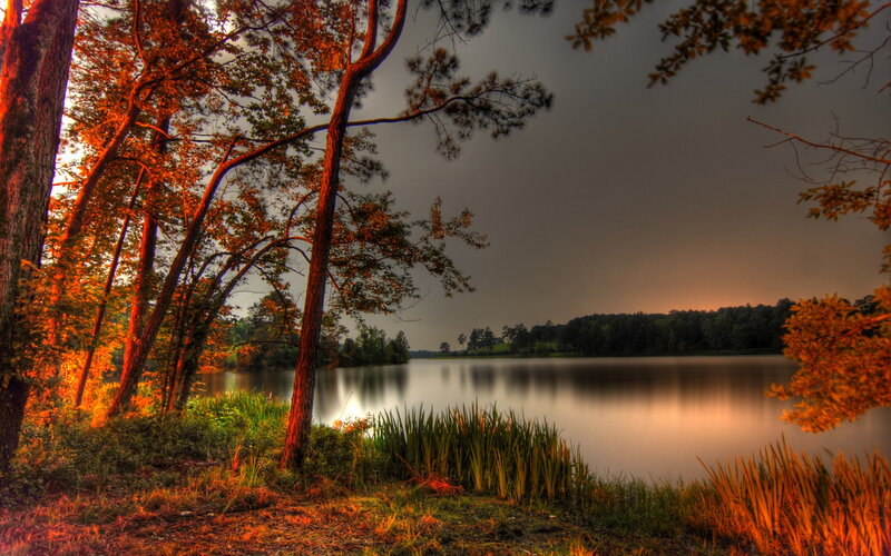 Autumn Trees by Lake — Orange, Dramatic, Sunset, Photograph