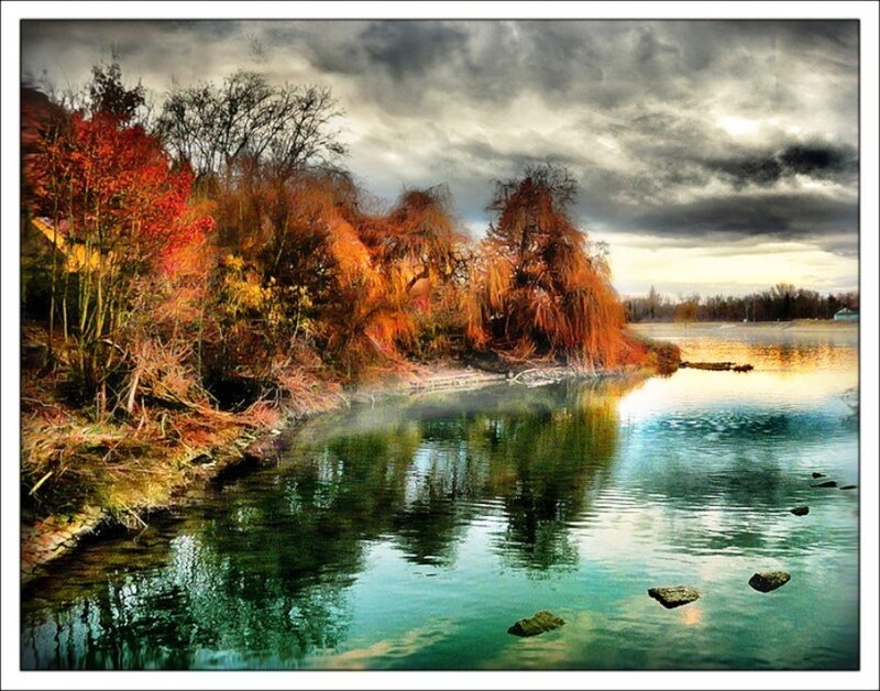 Autumn Trees by Lake — Orange, Dramatic