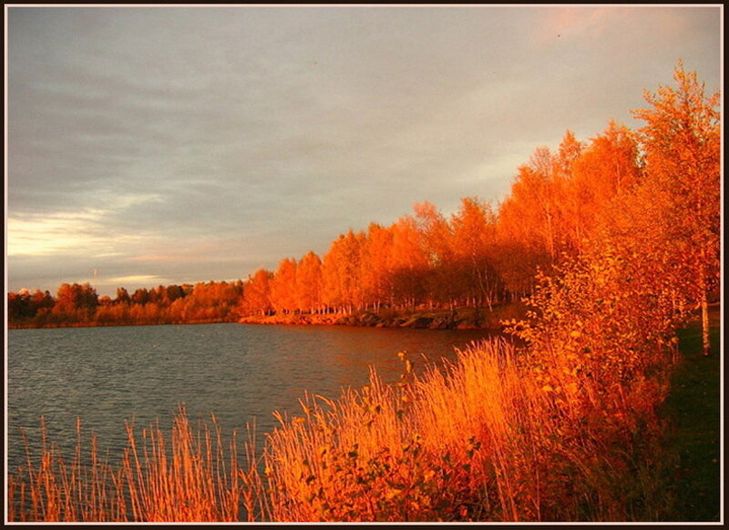 Autumn Trees by Lake — Orange, Serene, Autumn Sunset