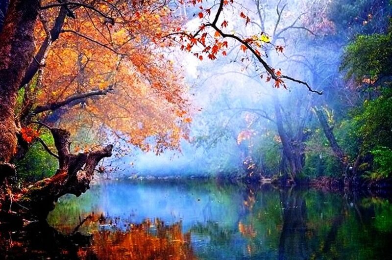 Autumn Trees by Lake — Orange, Serene, Digital Art, Mist