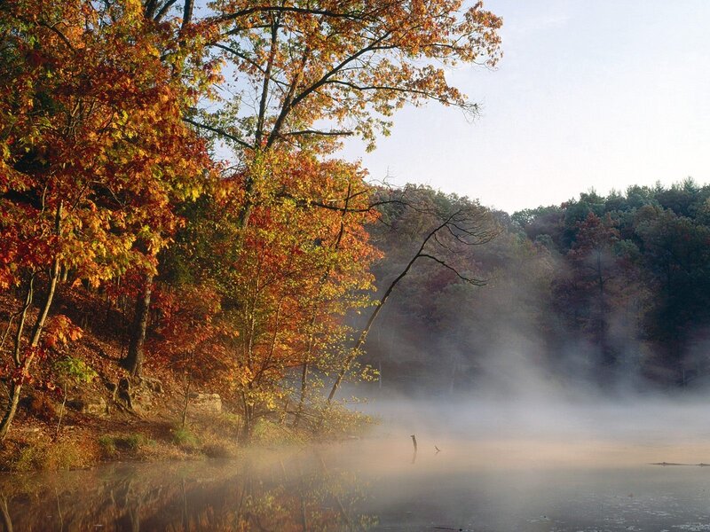 Autumn Trees by Lake — Orange, Serene, Morning, Photograph, Mist