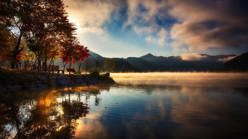 Autumn Trees by Lake — Orange, Serene, Morning