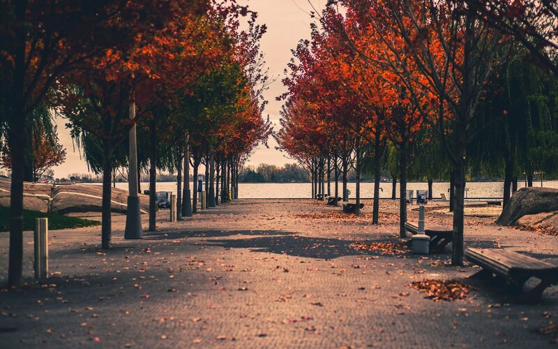 Autumn Trees by Lake — Orange, Serene, Photograph, Bench, Path