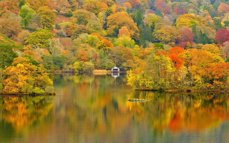 Autumn Trees by Lake — Orange, Serene, Photograph, Boathouse