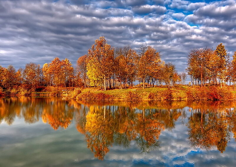 Autumn Trees by Lake — Orange, Serene, Photograph, Clouds
