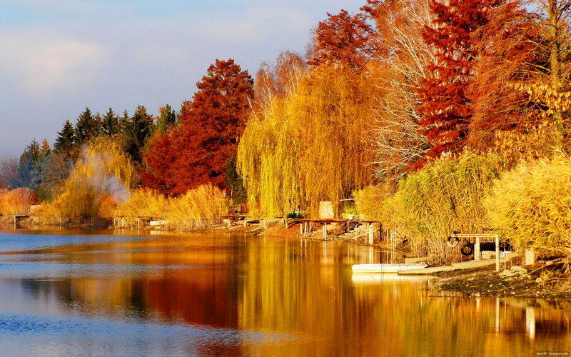 Autumn Trees by Lake — Orange, Serene, Photograph, Dock, Boat